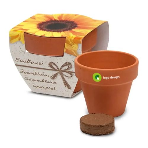 Blomster i lille terrakottakrukke - Bild 1